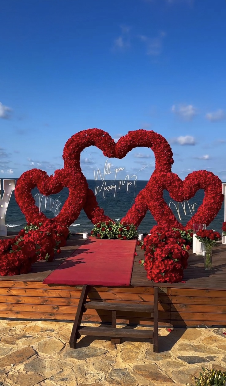 Princess Treatment Proposal Package